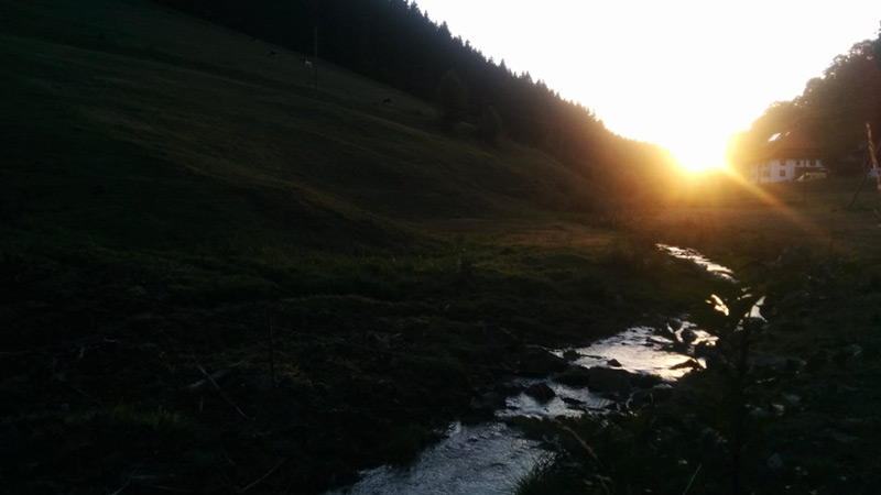 Sonnenuntergang an einem Schwarzwaldbach